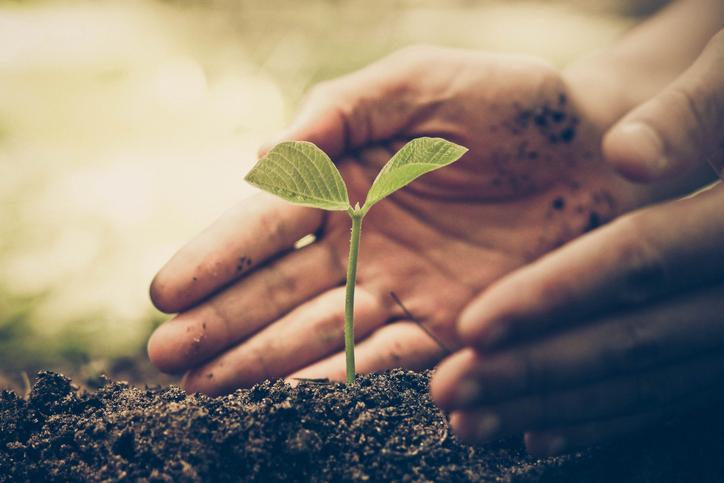 Aplicación de abono orgánico - Biogas Guijuelo